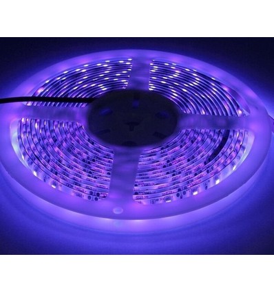 UV 400 nm 14,4W/m 24V LED strip - 5m, IP20, 60 LED per. meter