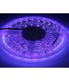 UV 400 nm 14,4W/m 24V LED strip - 5m, IP20, 60 LED per. meter