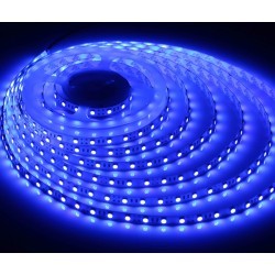 Enkelfärgad LED strip Blå 450 nm 10W/m 24V LED strip - 5m, IP20, 120 LED per. meter