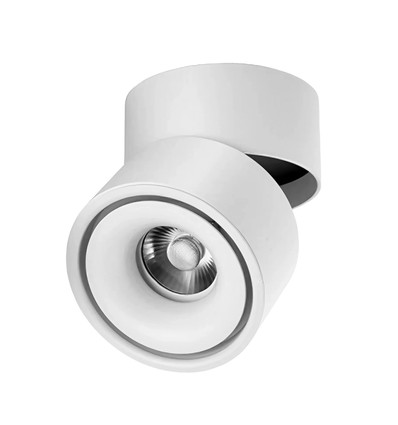 Dimbar LED takspot RA98 - 10W, vit, justerbar, för utanpåliggande montage