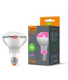 R80 LED växtbelysningslampa 9W E27 - Fito, 230V