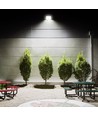 Luca spot 50W - LED, rörelsesensor, neutralvit, 230V, 4500lm