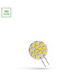 Spectrum LED 1,2W G4 - 12V, varmvit