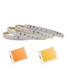 5m 17W/m DimToWarm LED-strip RA95 - 24V, IP20, 224 LED per meter