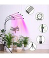 LEDlife växtljus med stativ - Svart, 4 lampor, justerbar höjd, flexibel arm