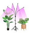 LEDlife växtljus med stativ - Svart, 4 lampor, justerbar höjd, flexibel arm