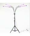 LEDlife växtljus med stativ - Svart, 4 lampor, justerbar höjd, flexibel arm