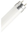 60cm / 8W T8 LED-lysör - 160lm/W, glas, Direkt/Ballast-kompatibel, 4000K