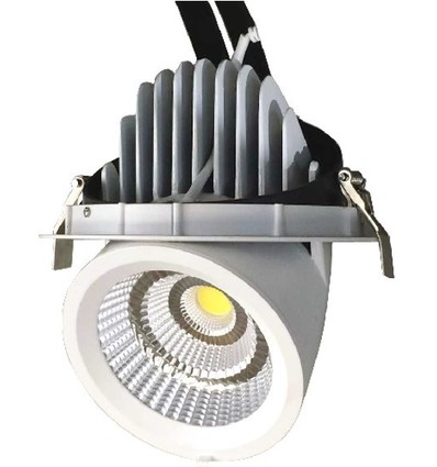 30W Ø16,5cm Downlight - Hål: Ø15 cm, Mått: Ø16,5 cm, 4100lm, Justerbar vinkel