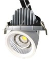 30W Ø16,5cm Downlight - Hål: Ø15 cm, Mått: Ø16,5 cm, 4100lm, Justerbar vinkel