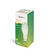 E27 36W LED-lampa - 360°, frostat glas
