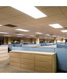 120x30 bakbelyst LED-panel, 40W - 120lm/W, CREE-chip, 6 års garanti, vit ram