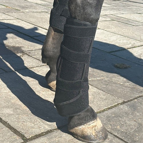 Ljusterapipad för häst - Infrarött och rött ljus, batteri, powerbank ingår