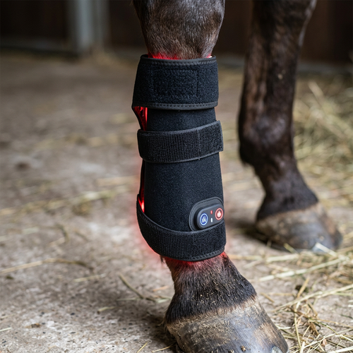 Vitality ljusterapi-bandage för häst - Infraröd, 10W, 27 x 24 cm