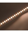 20m 8,5W/m CCT LED-strip RA93 - 24V DC, IP20, 192 LED per meter