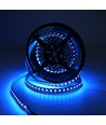 5m 19W/m RGB+CCT LED-strip RA93 - 24V DC, 270 LED per meter, IP20