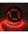5m 19W/m RGB+CCT LED-strip RA93 - 24V DC, 270 LED per meter, IP20
