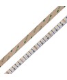 5m 19W/m RGB+CCT LED-strip RA93 - 24V DC, 270 LED per meter, IP20