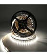 10m 19W/m RGB+CCT LED-strip RA93 - 24V DC, 270 LED per meter, IP20