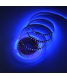 5m 10W/m UV 400 nm LED-strip - 24V DC, IP20, 120 LED per meter