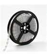5m 13W/m RGB Dotless COB-LED strip - 24V DC, IP67, 576 LED per meter