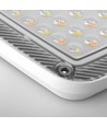30W LED-strålkastare CCT - IP65, 3-i-1 färgtemperatur, utomhus, arbetslampa