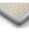 50W LED-strålkastare CCT - IP65, 3 färgtemperaturer, utomhus