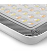 50W LED-strålkastare CCT - IP65, 3 färgtemperaturer, utomhus