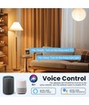 Zigbee + Bluetooth + Wifi gateway hub