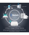 Zigbee + Bluetooth + Wifi gateway hub