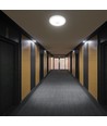 12W LED sensorlampa, CCT - 3 ljusfärger, PIR-sensor, 6 års garanti, Cree, rund, vit