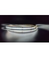 16W/m RGBIC COB-LED strip - 5m, IP20, 630 LED per meter, 24V, COB LED