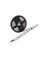 5m 12W/m RGBIC LED-strip - 24V DC, IP20, 60 LED per meter