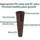 Växtorv-svampar för hydroponisk odling - 12 st, passar till våra hydroponiska köksträdgårdar