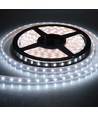 10W/m vattentät LED strip - 5m, IP68, 60 LED per. meter!