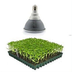 LED växtbelysning LED 12W växtarmatur, E27, Grow lamp