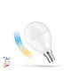 LED 5W CCT Smart Home LED lampa - Tuya/Smart Life, fungerar med Google Home, Alexa och smartphones, P45, E14