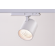 30W 3-fas dimbar RA90 skenspotlight - 170lm/w, vit, CASAMBI