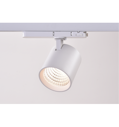30W 3-fas dimbar RA90 skenspotlight - 170lm/w, vit, CASAMBI