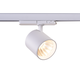 LEDlife 30W Dimbar vit skenaspotlight - 175 lm/W, RA 90, Dimbar, 3-fas