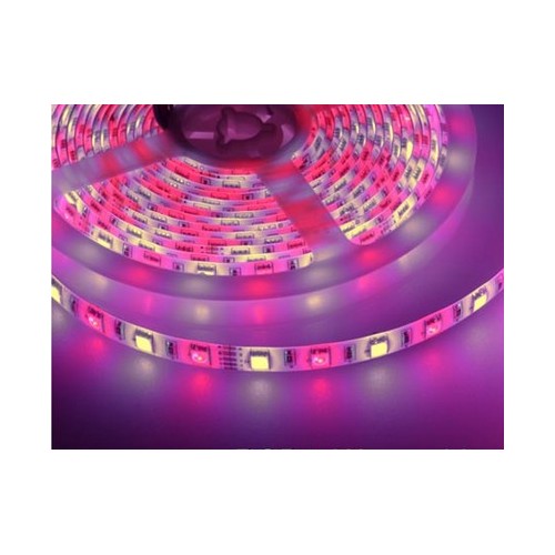 5m 10,8W/m RGB+WW LED-strip - 60 LED per meter