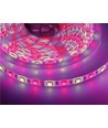 5m 10,8W/m RGB+WW LED-strip - 60 LED per meter