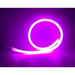 230V Neon Flex LED strip Lila / rosa D16 Neon Flex LED - 8W per. meter, IP67, 230V