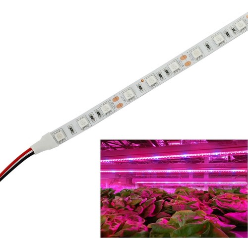 9,6W/m stänksäker växt LED strip - 5m, 60 LED per. meter, IP65