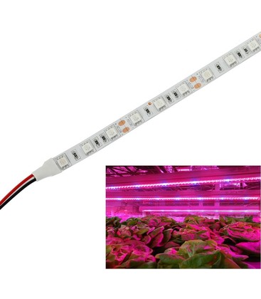 9,6W/m stänksäker växt LED strip - 5m, 60 LED per. meter, IP65
