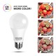 Outlet: EN: LED A5 A60 BIG ANGLE E27 10W 3000K