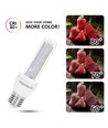 Outlet: EN: LED B5 T3 2U 8W E27 3000K