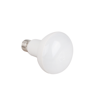 Outlet: EN: LED A5 R80 E27 12W 3000K