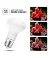 Outlet: EN: LED A5 R80 E27 12W 3000K