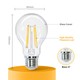 Outlet: EN: LED FILAMENT A60 E27 6W 2700K/CLEAR